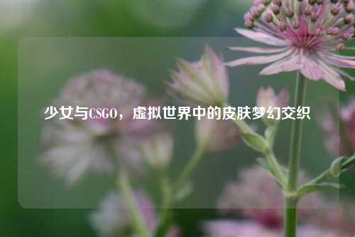 少女与CSGO,虚拟世界中的皮肤梦幻交织