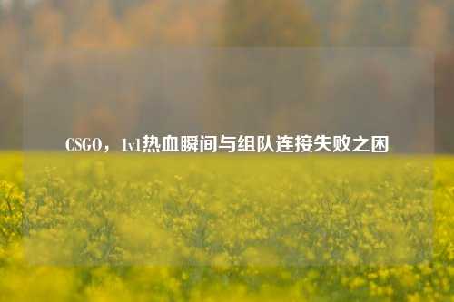 CSGO,1v1热血瞬间与组队连接失败之困