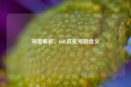深度解析,LOL匹配号的含义