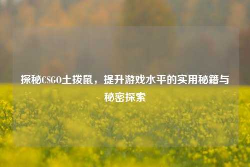 探秘CSGO土拨鼠,提升游戏水平的实用秘籍与秘密探索