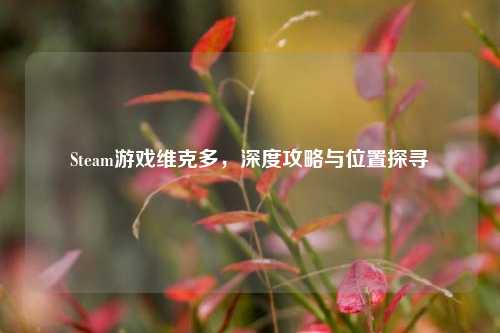 Steam游戏维克多,深度攻略与位置探寻