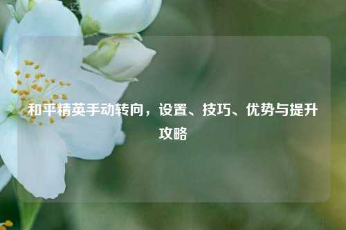 和平精英手动转向,设置、技巧、优势与提升攻略