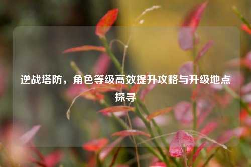 逆战塔防,角色等级高效提升攻略与升级地点探寻