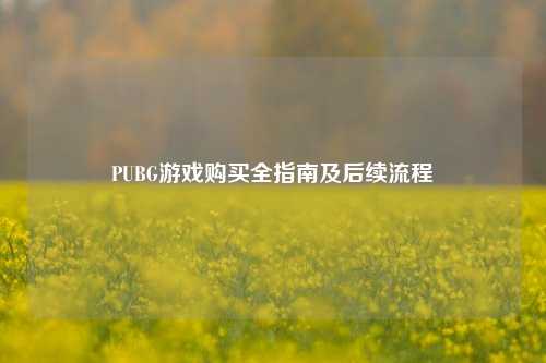 PUBG游戏购买全指南及后续流程