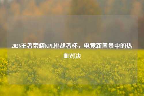 2026王者荣耀KPL挑战者杯,电竞新风暴中的热血对决