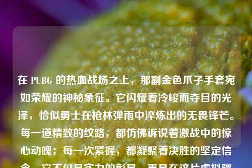 在 PUBG 的热血战场之上,那副金色爪子手套宛如荣耀的神秘象征。它闪耀着冷峻而夺目的光泽,恰似勇士在枪林弹雨中淬炼出的无畏锋芒。每一道精致的纹路,都仿佛诉说着激战中的惊心动魄;每一次紧握,都凝聚着决胜的坚定信念。它不仅是实力的彰显,更是在这片虚拟疆土上,玩家们追逐胜利、展现独特个性的耀眼标志,如同暗夜中的璀璨星辰,引领着勇者不断前行,向着至高的胜利巅峰发起冲锋!