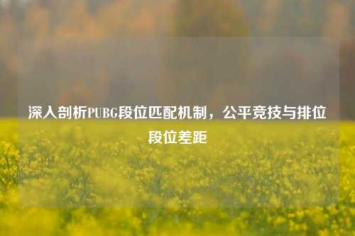 深入剖析PUBG段位匹配机制,公平竞技与排位段位差距