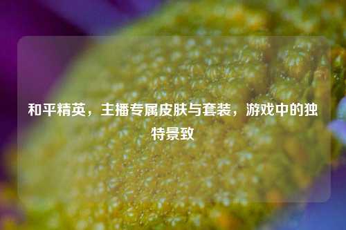 和平精英,主播专属皮肤与套装,游戏中的独特景致
