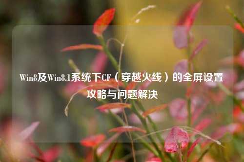 Win8及Win8.1系统下CF(穿越火线)的全屏设置攻略与问题解决