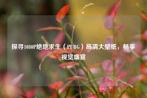 探寻1080P绝地求生(PUBG)高清大壁纸,畅享视觉盛宴