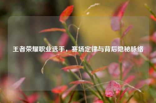 王者荣耀职业选手,赛场定律与背后隐秘脉络