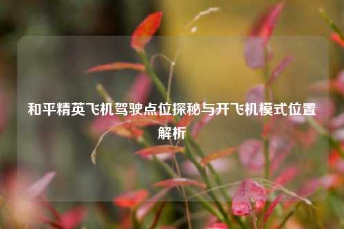 和平精英飞机驾驶点位探秘与开飞机模式位置解析