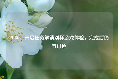 PUBG,开启任务解锁别样游戏体验,完成后仍有门道