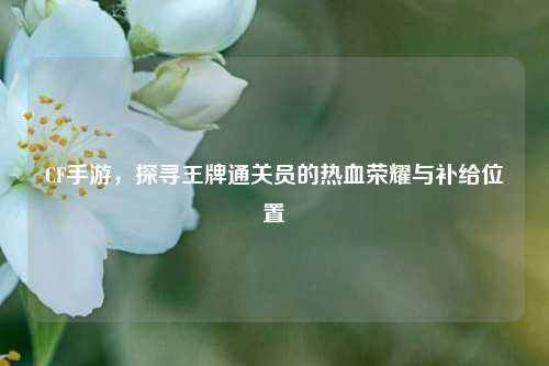 CF手游,探寻王牌通关员的热血荣耀与补给位置