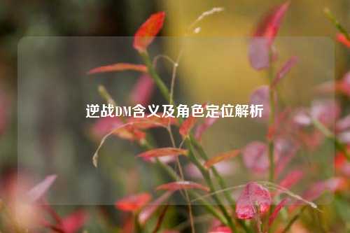 逆战DM含义及角色定位解析