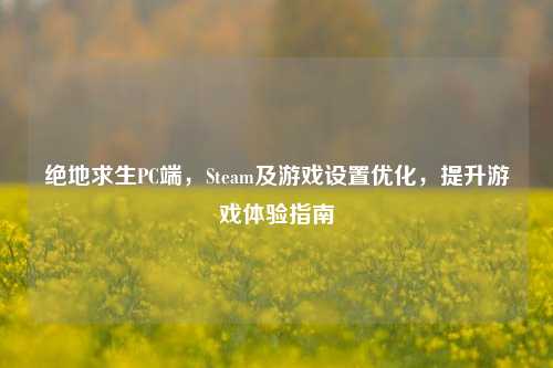 绝地求生PC端,Steam及游戏设置优化,提升游戏体验指南