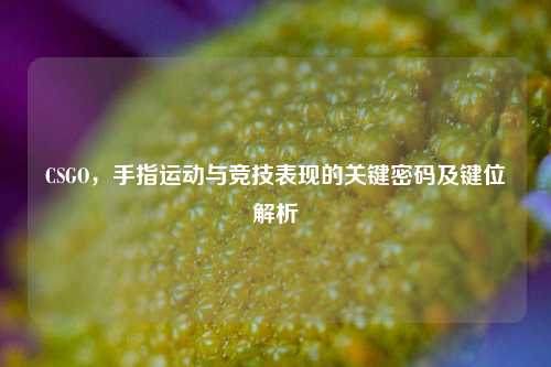 CSGO,手指运动与竞技表现的关键密码及键位解析