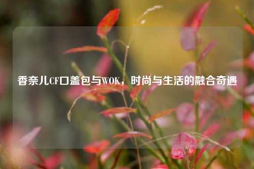 香奈儿CF口盖包与WOK,时尚与生活的融合奇遇