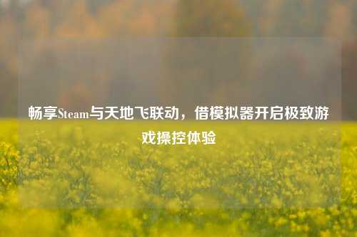 畅享Steam与天地飞联动,借模拟器开启极致游戏操控体验