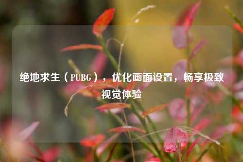 绝地求生(PUBG),优化画面设置,畅享极致视觉体验