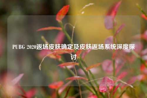 PUBG 2020返场皮肤确定及皮肤返场系统深度探讨