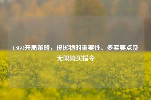 CSGO开局策略,投掷物的重要性、多买要点及无限购买指令