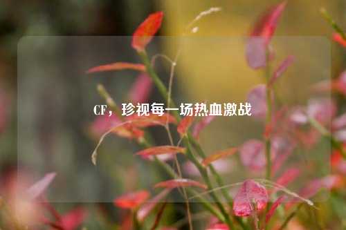 CF,珍视每一场热血激战