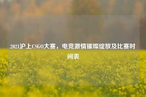 2021沪上CSGO大赛,电竞***璀璨绽放及比赛时间表