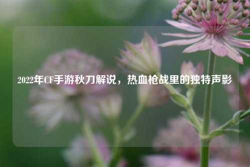 2022年CF手游秋刀解说,热血枪战里的独特声影