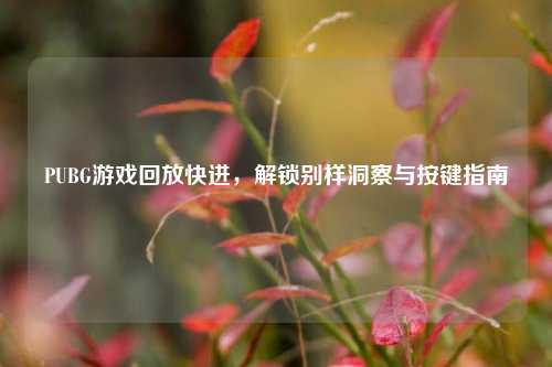PUBG游戏回放快进,解锁别样洞察与按键指南