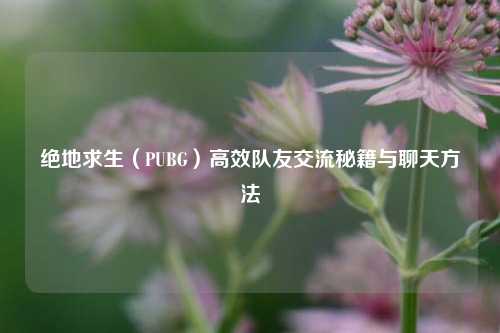 绝地求生(PUBG)高效队友交流秘籍与聊天 ***