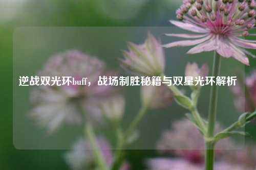 逆战双光环buff,战场制胜秘籍与双星光环解析