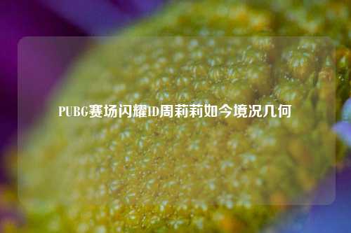 PUBG赛场闪耀ID周莉莉如今境况几何