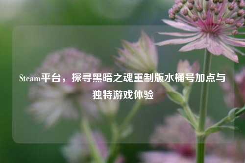 Steam平台,探寻黑暗之魂重制版水桶号加点与独特游戏体验