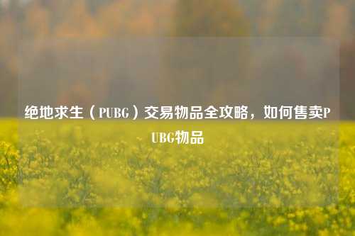 绝地求生(PUBG)交易物品全攻略,如何售卖PUBG物品