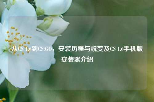 从CS 1.6到CS:GO,安装历程与蜕变及CS 1.6手机版安装器介绍