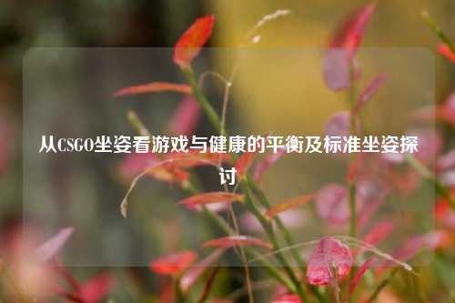 从CSGO坐姿看游戏与健康的平衡及标准坐姿探讨