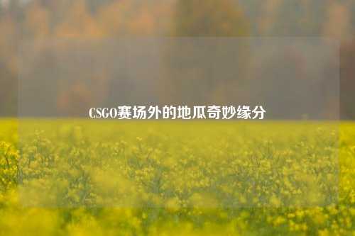 CSGO赛场外的地瓜奇妙缘分