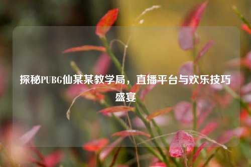 探秘PUBG仙某某教学局,直播平台与欢乐技巧盛宴