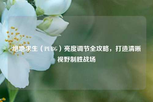 绝地求生(PUBG)亮度调节全攻略,打造清晰视野制胜战场
