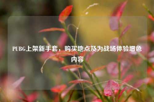 PUBG上架新手套,购买地点及为战场体验增色内容