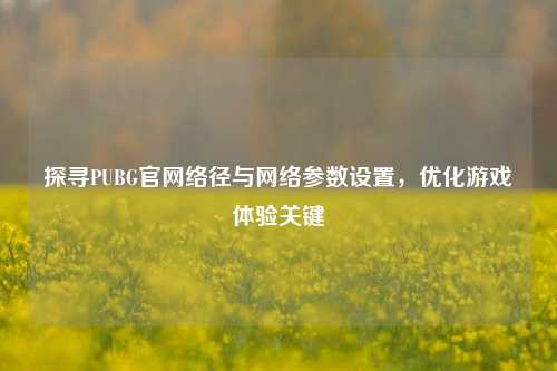探寻PUBG官 *** 径与 *** 参数设置,优化游戏体验关键