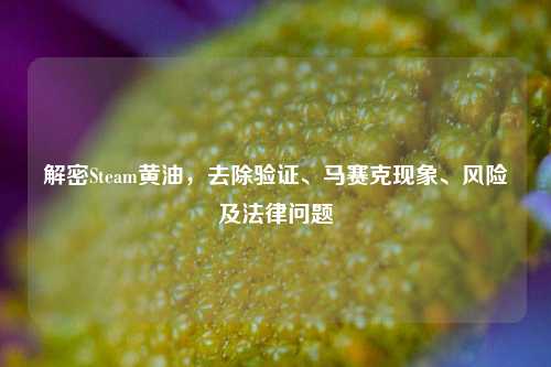 解密Steam黄油,去除验证、马赛克现象、风险及法律问题