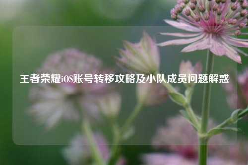 王者荣耀iOS账号转移攻略及小队成员问题解惑