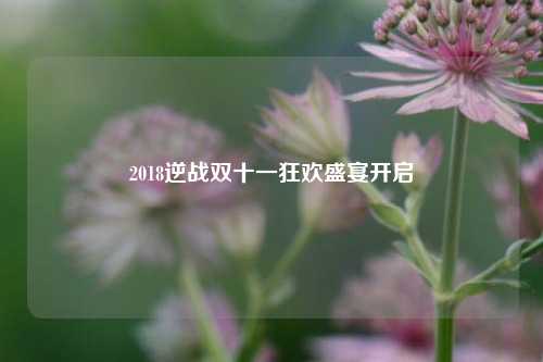 2018逆战双十一狂欢盛宴开启