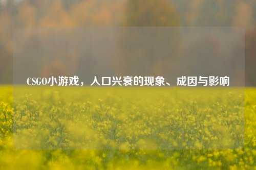 CSGO小游戏,人口兴衰的现象、成因与影响
