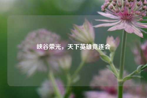 峡谷荣光,天下英雄竞逐会