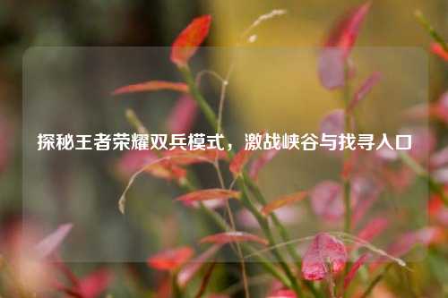 探秘王者荣耀双兵模式,激战峡谷与找寻入口