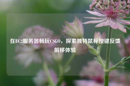 在EC2服务器畅玩CSGO,探索独特鼠标按键反馈前移体验