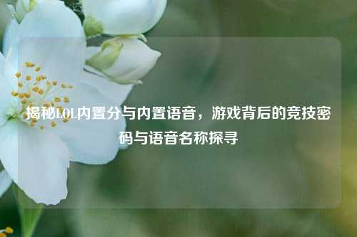 揭秘LOL内置分与内置语音,游戏背后的竞技密码与语音名称探寻